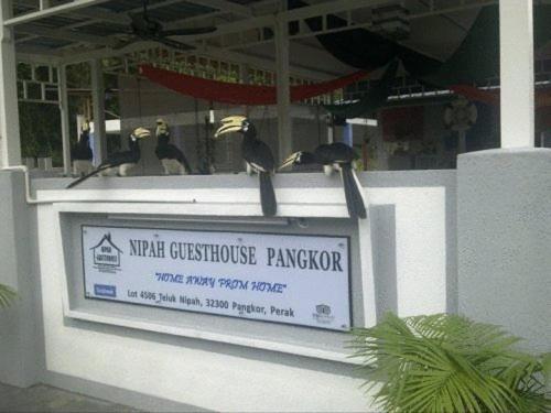 Nipah Guesthouse Pangkor Pekan Pangkor Dış mekan fotoğraf